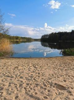 Domek Las nad jeziorem - Bożepole Królewskie - 4