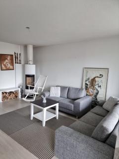 Rovaniemi City Home - 3