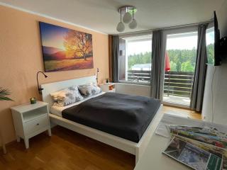 Ferienwohnung in Freudenstadt-Kniebis III - Freudenstadt - 9