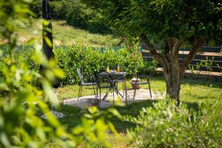 Carpe Diem in Kosinožići - Istrien - Poreč - 4