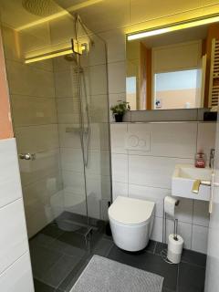 Ferienwohnung in Freudenstadt-Kniebis III - Freudenstadt - 6