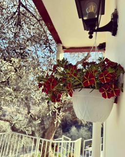 Sunny-hill apartment - Mjull-Bathore - 2