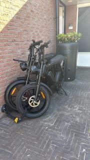 Hart van Petten - Petten - 5