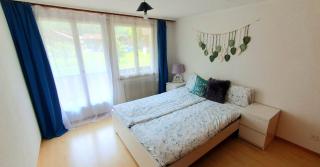 Ferienhaus Lungern see-you - Lungern - 4