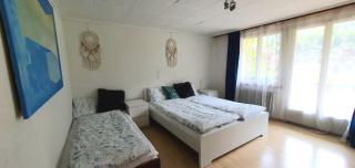 Ferienhaus Lungern see-you - Lungern - 5