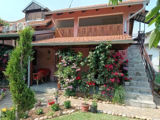 Apartman Mika - Soko Banja - 7