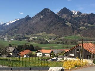 Au Chant des Grillons - studio ensoleillé en Gruyère - 1