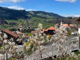 Au Chant des Grillons - studio ensoleillé en Gruyère - 6