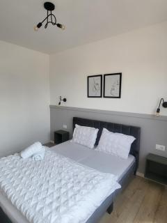 Sika Elite Apartment - Arad - 9