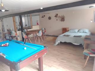 Studio calme avec billard - 8