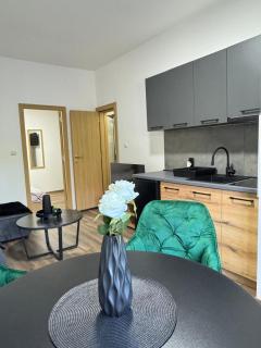Apartmani Popivoda - Soko Banja - 4