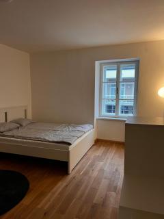 Einzigartige Altbauwohnung mitten in der City - Klosterneuburg - 6