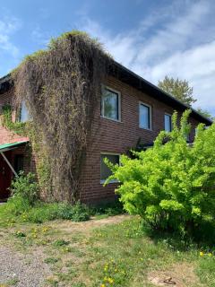 Omakotitalo veistämöllä meren rannassa - Hanko - 0