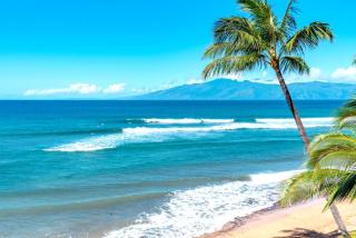 KBM Resorts FREE CAR Maui Kaanapali Studio Villa MKV-C255 - Kaanapali - 0