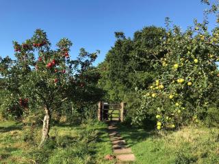 1 bed in Monmouth 74976 - Cwmcarvan - 9