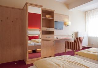 Hotel Steinhuder Hof - Wunstorf - 5