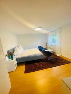 Hawk Studio - Baden-Baden - 0