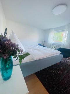 Hawk Studio - Baden-Baden - 3