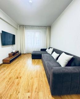 Cozy stay in Olymp Residence - олимп хотхон - Ulaanbaatar - 0