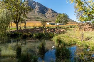 Grietjiesdrif- Mountain Retreat - Rawsonville - 2