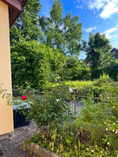 Aabach Stay - Niederlenz - 4