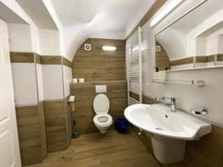 Princo Apartments - Hunedoara - 6