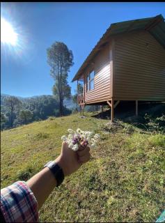 Golden valley cottages, Chail - Chail - 7