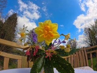 Haslemere - Cabin - Sleeps 2 - Parking - Garden - Bristol - 1