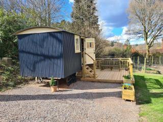 Haslemere - Cabin - Sleeps 2 - Parking - Garden - Bristol - 9