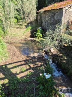 Casa grilo valença - - 5