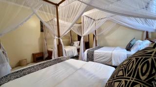 Ultra Home - Bed and Breakfast - - 4
