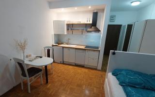 Studio apartma Plaža - 8