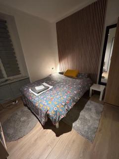 Séjour entre ville et montagnes Appartement 110 m2 - Thann - 2