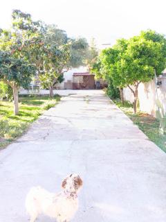 Il Giardino di Lia - Palermo - 2