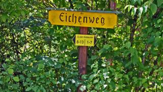 Apartment-Pension Im Eichenweg - Waldachtal - 9