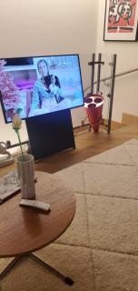 Leonetto Art Domus - Deluxe Apartment by Pantheon, Navona & Spanish Steps - Rome - 7