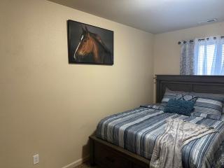 713 Section 1 luxury townhouse - Williston - 7