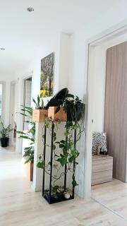 Appartment Lodged Mamma Maria - Mattarello - 8