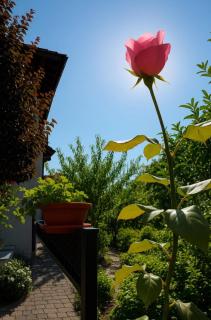 Appartment Lodged Mamma Maria - Mattarello - 4