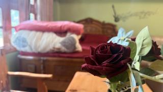 The velox Traditional Home Stay Kalpa - Kalpa - 7