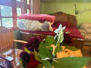 The velox Traditional Home Stay Kalpa - Kalpa - 9