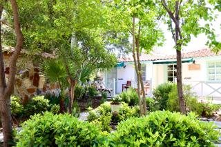 Kemerbag 29 Guest House 12 Yaş Üstü - Bozcaada - 7