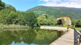 JÜRGEN Haus KMB Seeappartement am Ossiacher See, Hallenbad und direktem Seezugang - Bodensdorf - 9