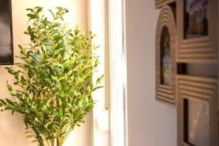 Summer - Centre-Ville Gare - Spacieux - Netflix - 3