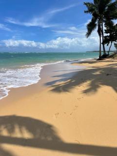 Waterfront apartment - Las Terrenas - 2