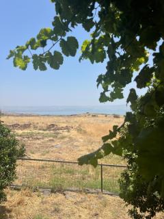 כנרת אהובתי Kinneret my Love - Livnim - 3