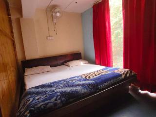 Havemore luxury stays - Solan - 9
