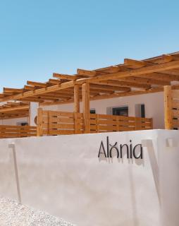 Alonia Suites - Naousa - 4