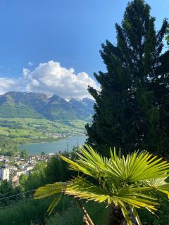 Chalet Seeblick - Sarnen - 1