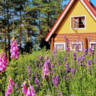 Lootuse Spa - Nõmmemaa - 9